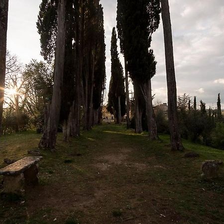폰테 아 보조네 Casa Nel Chianti A Siena 아파트 외부 사진